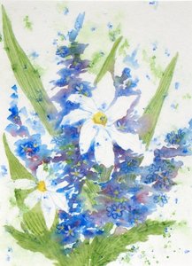 daisies.jpg