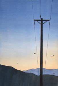 lines-wilderness.jpg