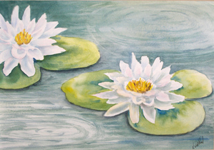white-waterlilies.jpg